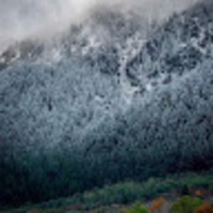 Meet your Posher, Denim